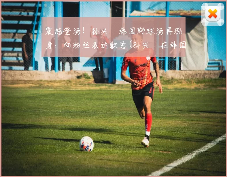 震撼登场！孙兴慜韩国野球场再现身，向粉丝表达歉意(孙兴慜在韩国队)