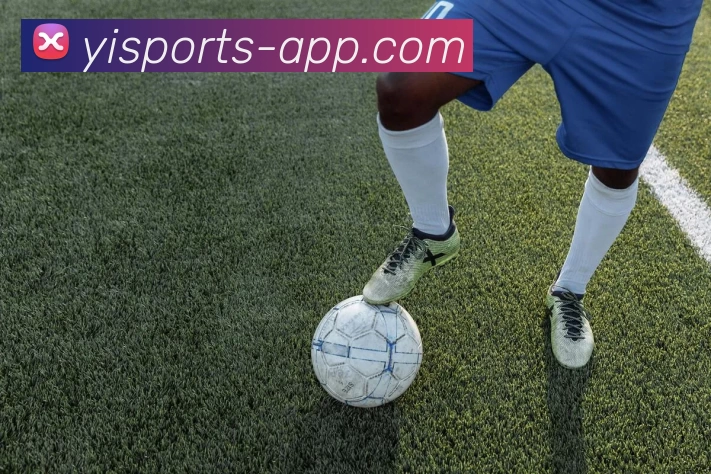 壹体体育APP 高清赛事图